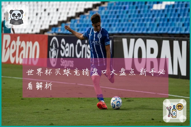 世界杯买球竞猜盘口大盘点 新手必看解析