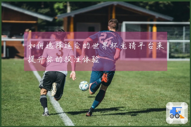 如何选择适合的世界杯竞猜平台来提升你的投注体验