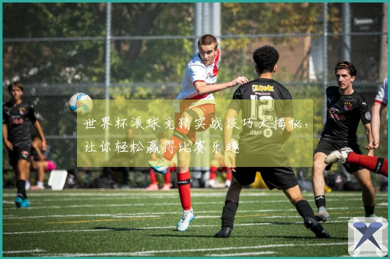 世界杯滚球竞猜实战技巧大揭秘，让你轻松赢得比赛乐趣