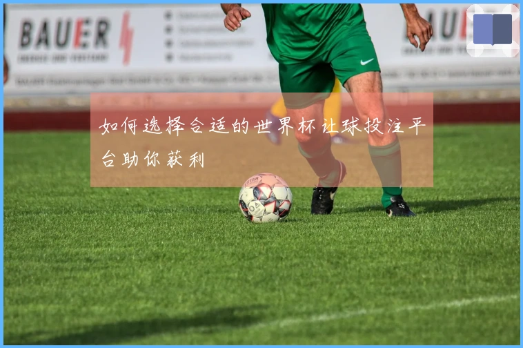 如何选择合适的世界杯让球投注平台助你获利
