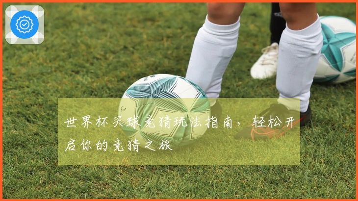世界杯买球竞猜玩法指南，轻松开启你的竞猜之旅