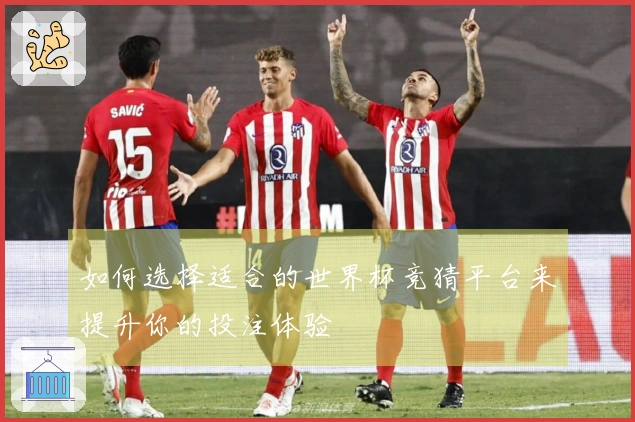 如何选择适合的世界杯竞猜平台来提升你的投注体验