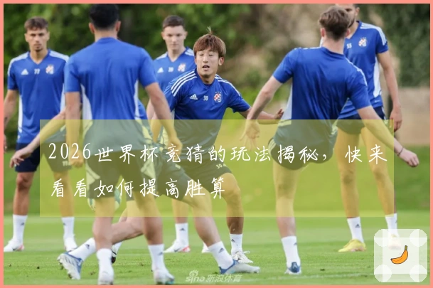 2026世界杯竞猜的玩法揭秘，快来看看如何提高胜算