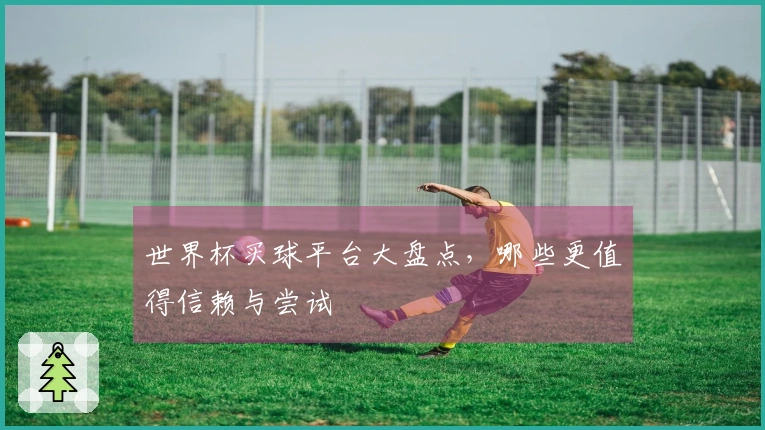 世界杯买球平台大盘点，哪些更值得信赖与尝试