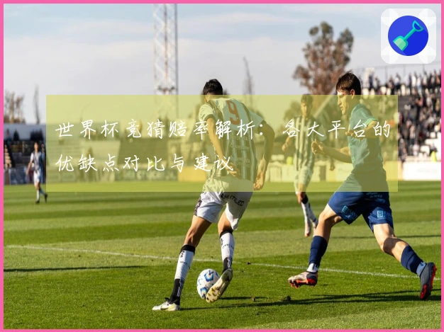 世界杯竞猜赔率解析：各大平台的优缺点对比与建议