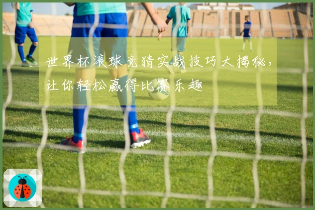 世界杯滚球竞猜实战技巧大揭秘，让你轻松赢得比赛乐趣