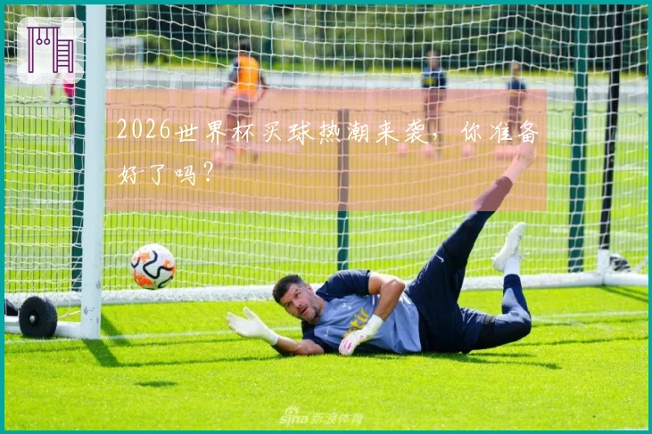 2026世界杯买球热潮来袭，你准备好了吗？