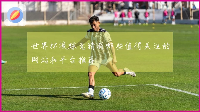 世界杯滚球竞猜有哪些值得关注的网站和平台推荐