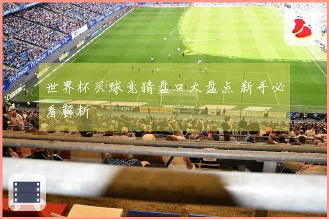 世界杯买球竞猜盘口大盘点 新手必看解析