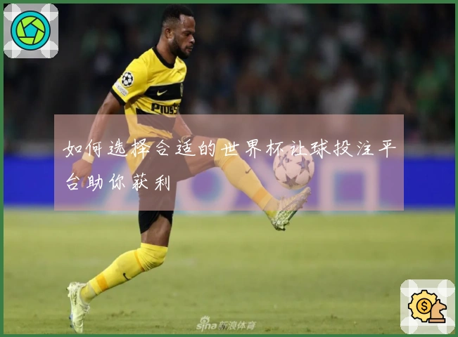 如何选择合适的世界杯让球投注平台助你获利