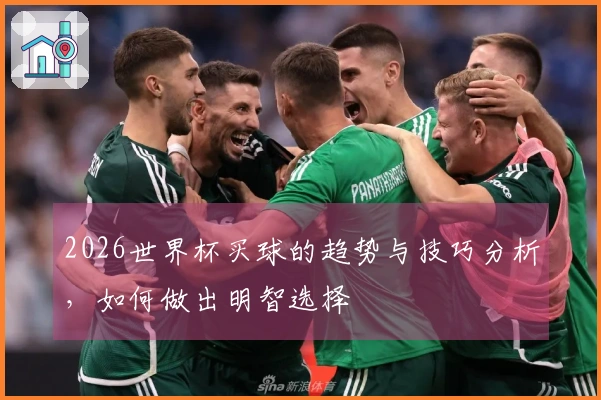 2026世界杯买球的趋势与技巧分析，如何做出明智选择