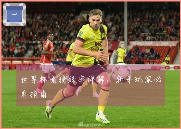 世界杯竞猜赔率详解，新手玩家必看指南